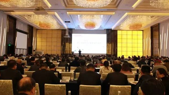 匠心驅(qū)動(dòng)未來(lái) 服務(wù)精筑品質(zhì)-2017東芝電梯代理商大會(huì)